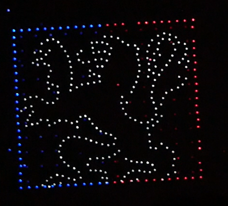 logo Lyon drones (1)